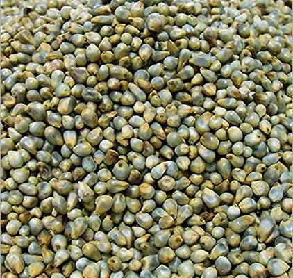 Green Millet