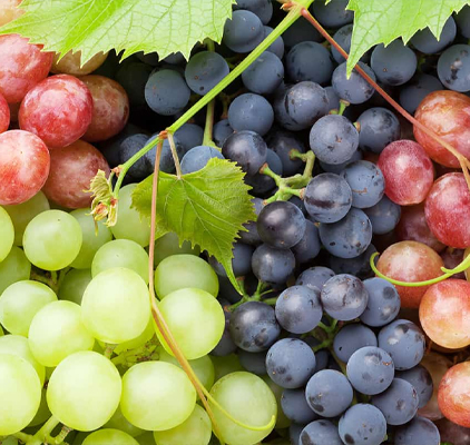 Grapes